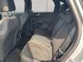 Ford Kuga 2.5 Duratec FHEV ST-LINE X Silber - thumbnail 17