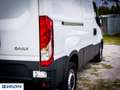 Iveco Daily 2.3 Cabinato L2 H2 14Q - "PREZZO VERO" Bianco - thumbnail 16