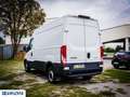 Iveco Daily 2.3 Cabinato L2 H2 14Q - "PREZZO VERO" Bianco - thumbnail 6