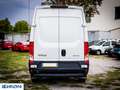 Iveco Daily 2.3 Cabinato L2 H2 14Q - "PREZZO VERO" Bianco - thumbnail 5