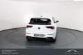 Volkswagen Golf R Performance 4MOTION DSG* WENIG KILOMETER!!! Weiß - thumbnail 8