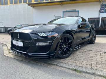 GT Shelby Optik SCHALTER