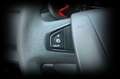 Nissan Interstar L2 H2 Acenta FWD 3,5t 1 Ha.*TEMP*KLIMA - thumbnail 15
