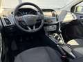 Ford Focus Wagon 1.0 Titanium Climate | Pdc | Apple Carplay | Zwart - thumbnail 12