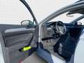 Volkswagen Passat Variant Business 2.0 TDI DSG*Navi*AHK*StH Grigio - thumbnail 16