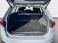 Volkswagen Passat Variant Business 2.0 TDI DSG*Navi*AHK*StH Grigio - thumbnail 13