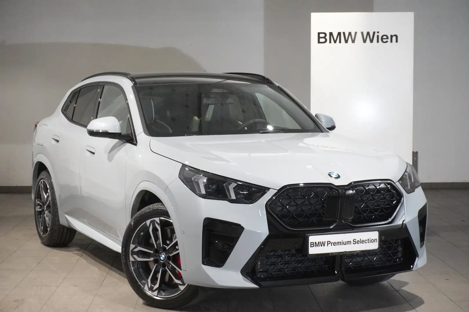 BMW X2 sDrive20d Grau - 1