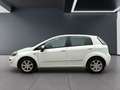 Fiat Punto Blanc - thumbnail 4