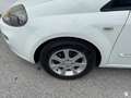 Fiat Punto Albastru - thumbnail 18