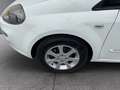 Fiat Punto Weiß - thumbnail 17