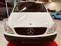 Mercedes-Benz Vito Kasten 111 CDI lang -Kühlwagen Weiß - thumbnail 13