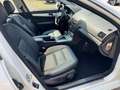 Mercedes-Benz C 320 CDI Avantgarde Panorama AHK Xenon AT-Motor Bianco - thumbnail 7