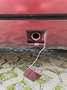 Mercedes-Benz E 200 W124 88.324 Km 2.Hand Oldtimer Rouge - thumbnail 20