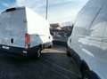 Iveco DAILY 35s14 Bianco - thumbnail 3