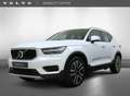 Volvo XC40 T5 Twin Engine Momentum Pro | Trekhaak | Dodehoekd Blanc - thumbnail 1