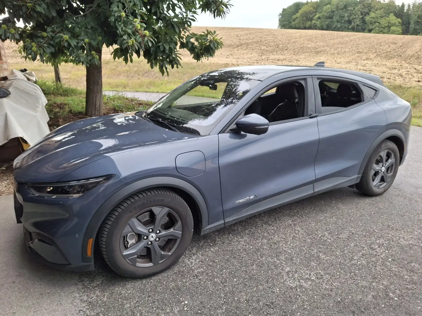 Ford Mustang Mach-E Mustang Mach-E Elektro 88kWh Extended Range Extend Blau - 1