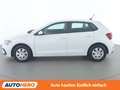 Volkswagen Polo 1.0 TSI Weiß - thumbnail 3