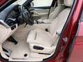 BMW X6 xDrive 30dA Burdeos - thumbnail 13