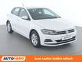 Volkswagen Polo 1.0 TSI Comfortline Weiß - thumbnail 8