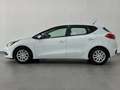 Kia Ceed / cee'd 1.4CRDi Maracaná Weiß - thumbnail 3