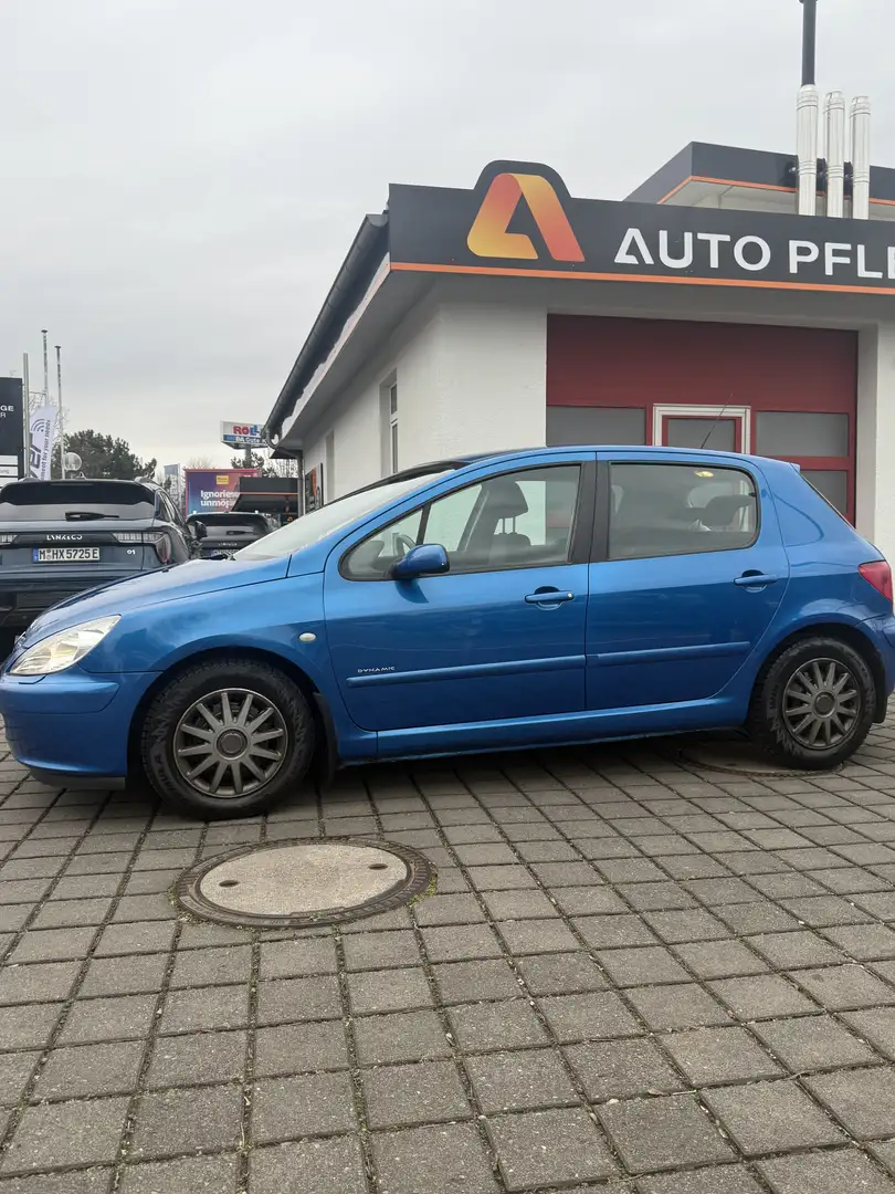 Peugeot 307 110 Premium - 2