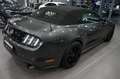 Ford Mustang Cabrio +Alarmanlage +Rückfahrkamera +PDC Gris - thumbnail 11