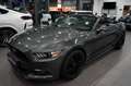 Ford Mustang Cabrio +Alarmanlage +Rückfahrkamera +PDC Grau - thumbnail 7