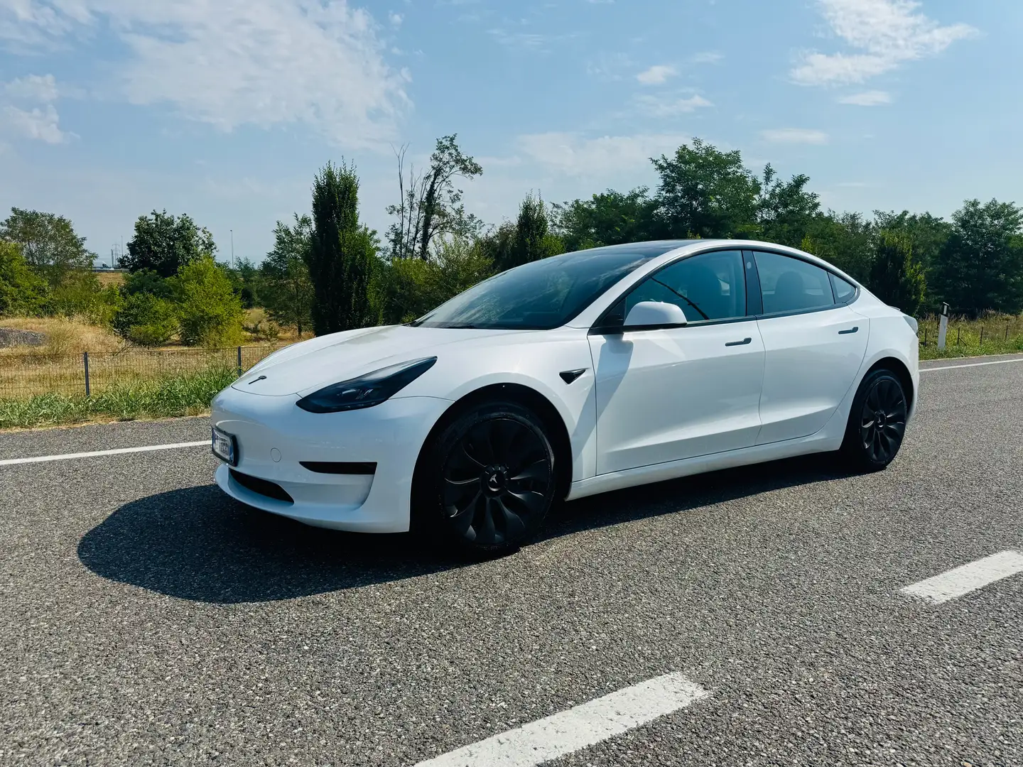 Tesla Model 3 Model 3 Standard rwd Plus Bianco - 1