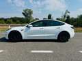 Tesla Model 3 Model 3 Standard rwd Plus Bianco - thumbnail 2