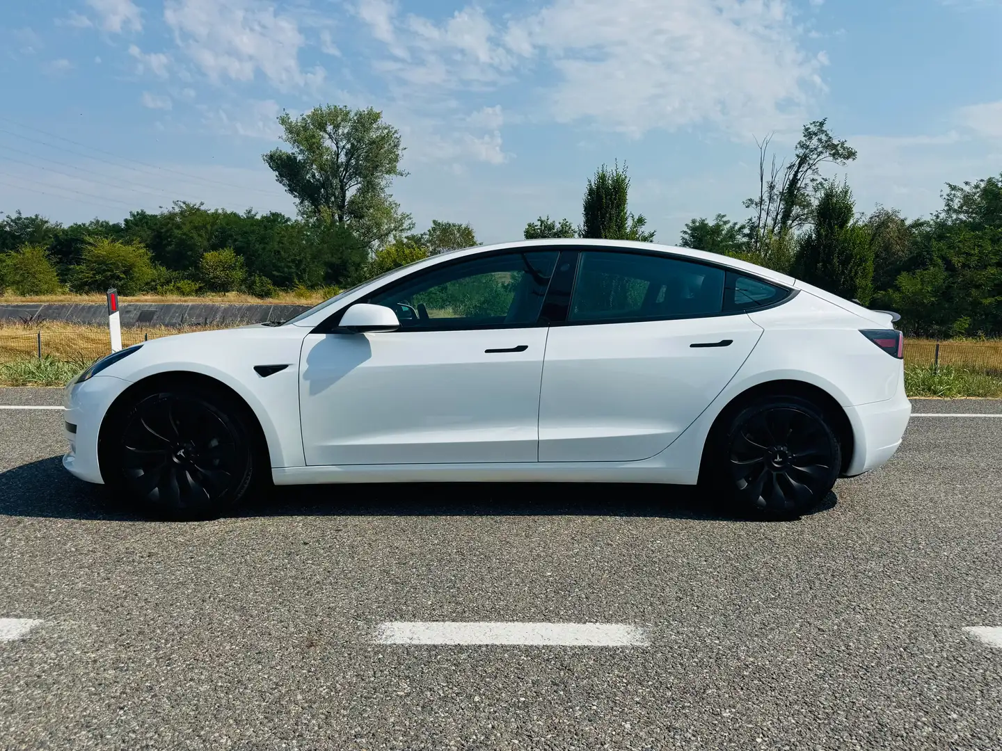 Tesla Model 3 Model 3 Standard rwd Plus Bianco - 2
