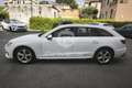 Audi A4 A4 35 TDI/163 CV S tronic Business Advanced Wit - thumbnail 2