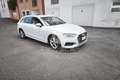 Audi A4 A4 35 TDI/163 CV S tronic Business Advanced Wit - thumbnail 7