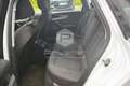 Audi A4 A4 35 TDI/163 CV S tronic Business Advanced Wit - thumbnail 15
