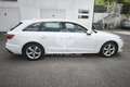 Audi A4 A4 35 TDI/163 CV S tronic Business Advanced Wit - thumbnail 6