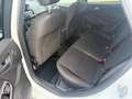 Ford Focus Turnier ST-Line Weiß - thumbnail 11