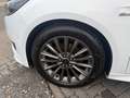 Ford Focus Turnier ST-Line Weiß - thumbnail 16