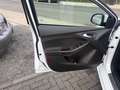Ford Focus Turnier ST-Line Weiß - thumbnail 13