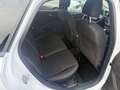 Ford Focus Turnier ST-Line Weiß - thumbnail 9