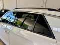 Volkswagen T-Roc 1.5 TSI Life DSG7 110KW Blanco - thumbnail 13