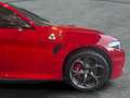 Alfa Romeo Giulia 2.9 Quadrifoglio Aut. 520 RWD Rojo - thumbnail 11