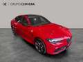 Alfa Romeo Giulia 2.9 Quadrifoglio Aut. 520 RWD Rojo - thumbnail 5