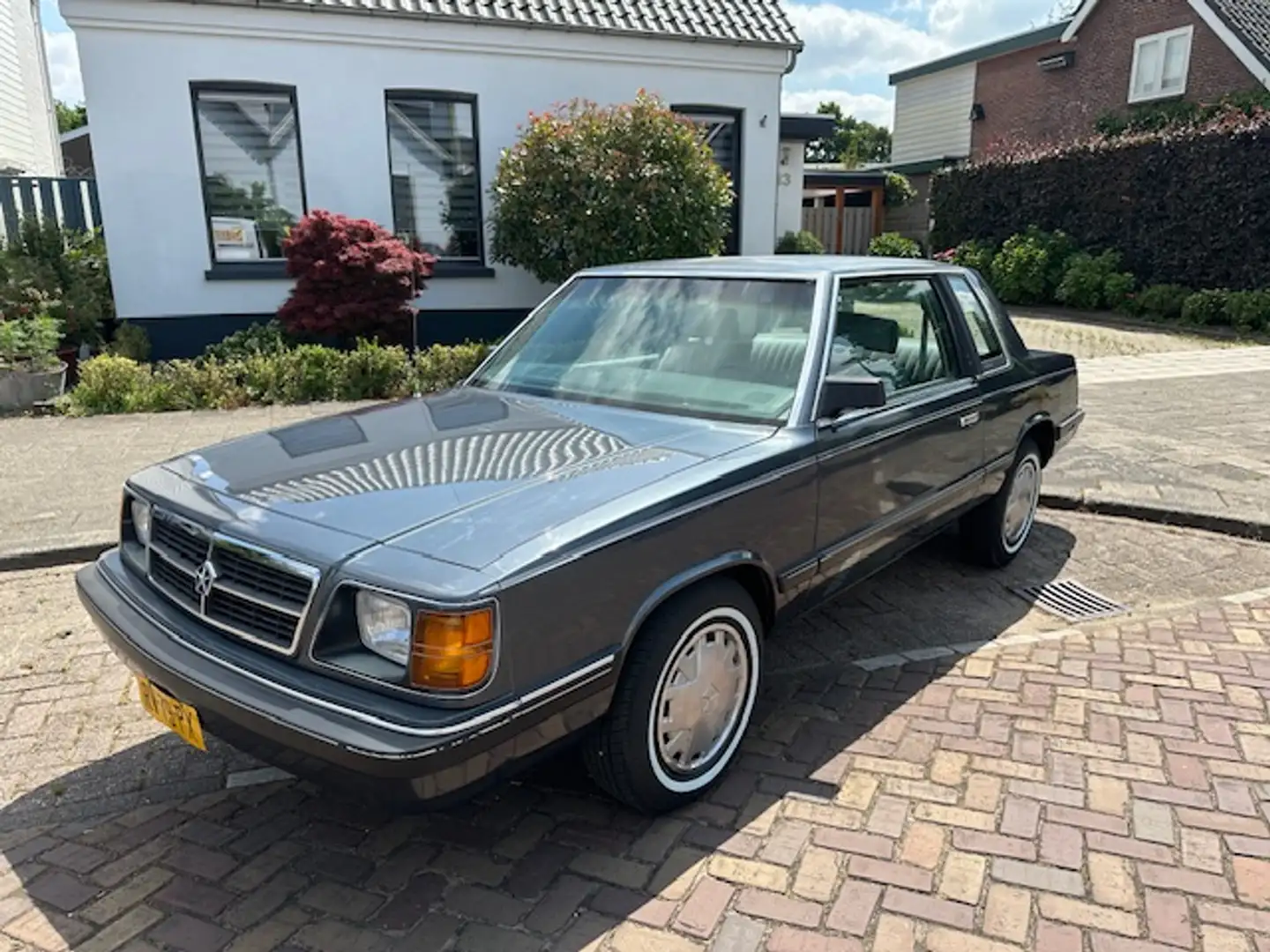 Dodge Aries 2.2 LE Coach Gri - 2