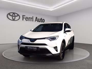 Rav4 2.5 vvt-i h business 2wd e-cvt my17