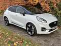 Ford Puma ST-Line X *NEUZUSTAND* Gris - thumbnail 5