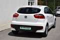Kia Rio Titan 1,2 MPI / Service & Pickerl & Bremse NEU / Weiß - thumbnail 4