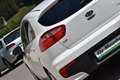 Kia Rio Titan 1,2 MPI / Service & Pickerl & Bremse NEU / Weiß - thumbnail 6
