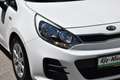 Kia Rio Titan 1,2 MPI / Service & Pickerl & Bremse NEU / Weiß - thumbnail 11