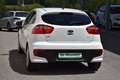 Kia Rio Titan 1,2 MPI / Service & Pickerl & Bremse NEU / Weiß - thumbnail 5
