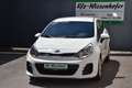 Kia Rio Titan 1,2 MPI / Service & Pickerl & Bremse NEU / Weiß - thumbnail 2