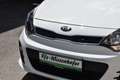 Kia Rio Titan 1,2 MPI / Service & Pickerl & Bremse NEU / Weiß - thumbnail 12